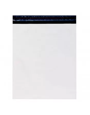 Envelope Plástico para Raio-X 26x32x0,12cm - Fuji