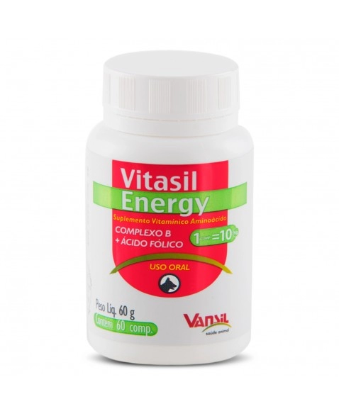 Vitasil Energy Suplemento Vitamínico Aminoácido para Cães 60g Vansil