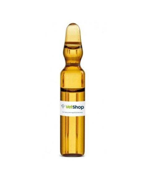 VITAMINA C 500MG/5ML INJ - SANTISA