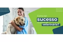 Dicas para ser um veterinário de sucesso