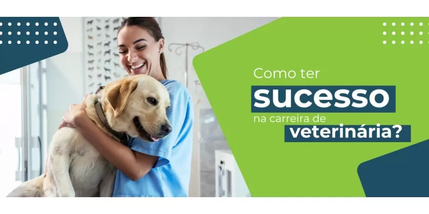 Dicas para ser um veterinário de sucesso