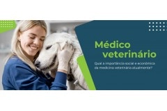 Por que a profissão de médico veterinário é tão importante?