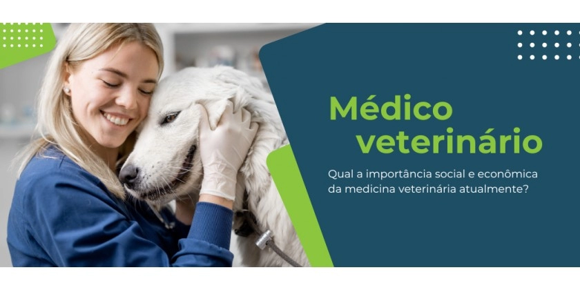 Por que a profissão de médico veterinário é tão importante?