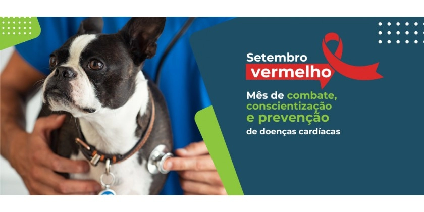 Setembro vermelho: mês de prevenção de doenças cardíacas em pets