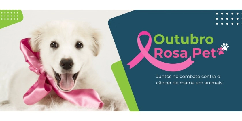 Câncer de mama em cadelas e a importância do Outubro Rosa