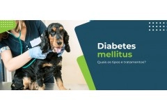 Diabetes mellitus em animais: como diagnosticar e tratar