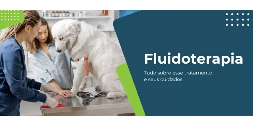 Fluidoterapia - saiba tudo sobre esse tratamento