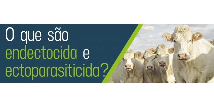 O que são endectocida e ectoparasiticida?