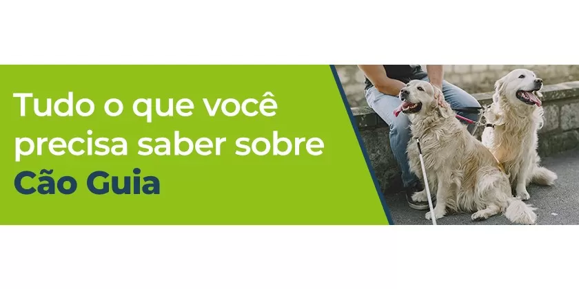 Tudo o que você precisa saber sobre Cão Guia.