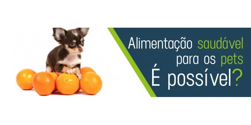 Você sabia que cachorros podem comer frutas?