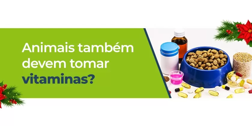 Animais também devem tomar vitaminas?