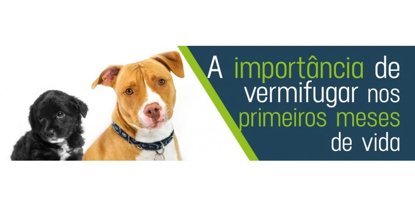 Você sabe por que é importante vermifugar cães e gatos?